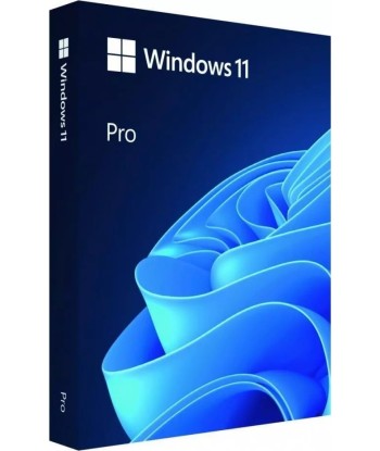 Microsoft Windows 11 Pro 	HAV-00163, USB Flash drive, Full Packaged Product (FPP), 64-bit, English