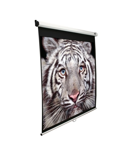 Elite Screens Manual Series M120XWV2 Diagonal 120 ", 4:3, Viewable screen width (W) 244 cm, White