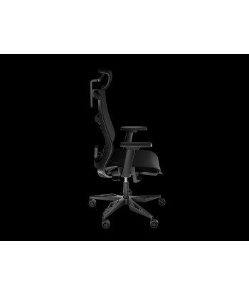 Genesis Ergonomic Chair Astat 700 Black