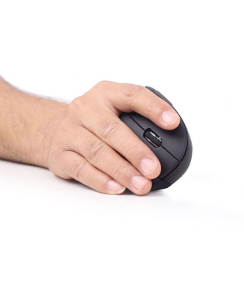 Gembird MUSW-ERGO-01 2.4GHz Wireless Optical Mouse, USB, Wireless connection, Black