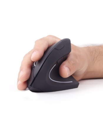 Gembird MUSW-ERGO-01 2.4GHz Wireless Optical Mouse, USB, Wireless connection, Black