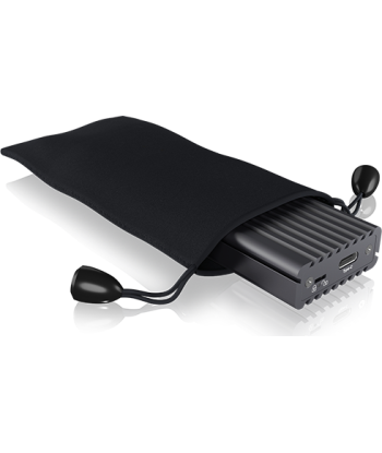 Raidsonic Icy Box IB-1817MC-C31 IB-DK2262AC DockingStation