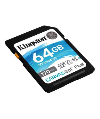 Kingston Canvas Go! Plus 64 GB, SD, Flash memory class 10