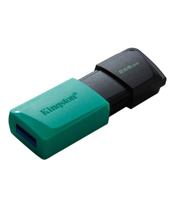 Kingston USB Flash Drive DataTraveler Exodia 256 GB, USB 3.2 Gen 1, Black/Teal