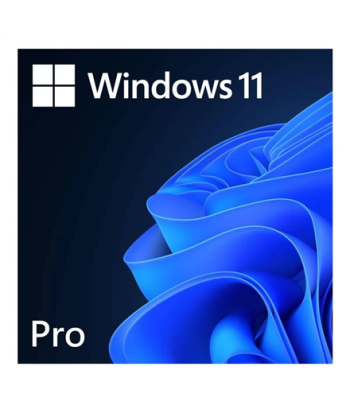 Microsoft FQC-10572 Win 11 Pro 64-Bit All Lng 1pk DSP OEI DVD