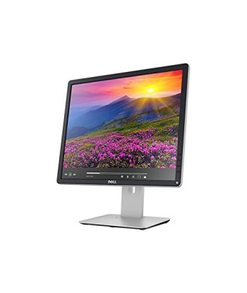 Dell Professional P1917S 19" IPS Monitor
