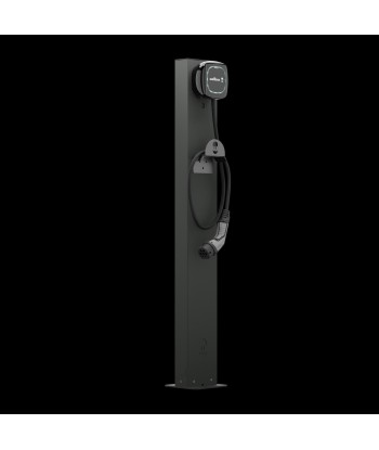 Wallbox Pedestal Eiffel Basic Dual для Pulsar Family - Черный
