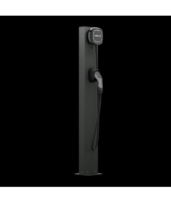 Wallbox Pedestal Eiffel Basic Dual для Pulsar Family - Черный
