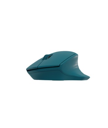 Arvutihiir Natec Siskin 2 	Wireless, Blue, USB Type-A