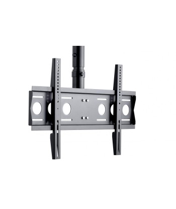 EDBAK, Ceiling mount, CMS21, 40-75", Maximum weight (capacity) 60 kg, Black