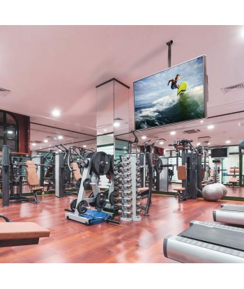 EDBAK CMS21 Laekinnitus (40-75", 60kg) - Must
