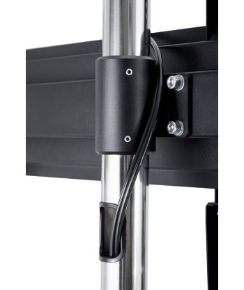 EDBAK, TR18, Trolleys & Stands, 60-98", Maximum weight (capacity) 80 kg, Black