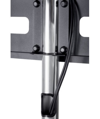 EDBAK, WWTR-TR51c-B, Trolleys & Stands, 37-60", Maximum weight (capacity) 80 kg, Black