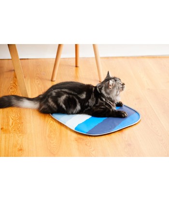PETKIT PURA X Kassi Jahutusmatt – Hoidke oma kass sel suvel jahe ja mugav! (45x45x1 cm)
