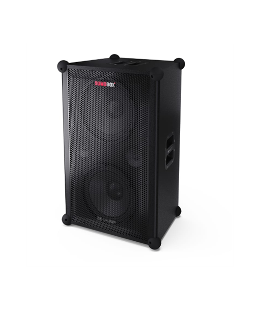 Sharp SumoBox CP-LS200 High Performance Portable Speaker
