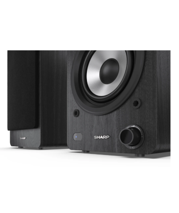 Полочные колонки Sharp CP-SS30 - Черные
