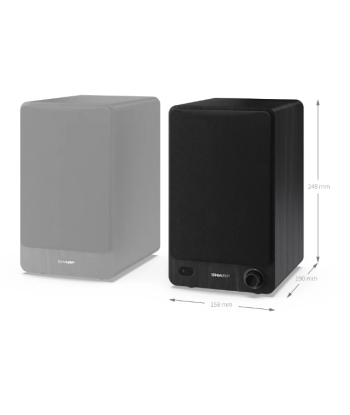 Полочные колонки Sharp CP-SS30 - Черные