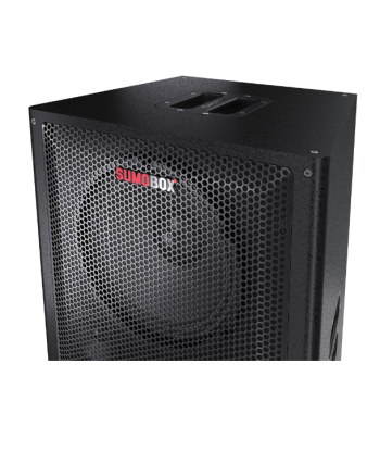 Sharp SumoBox CP-LS200 High Performance Portable Speaker