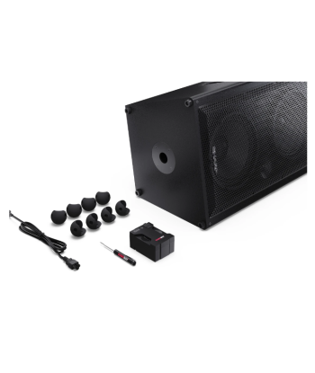 Sharp SumoBox CP-LS200 High Performance Portable Speaker