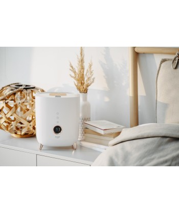 Adler AD 7972 Ultrasonic Humidifier - Pure Air, Fresh Home!