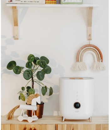 Adler Humidifier AD 7972 White