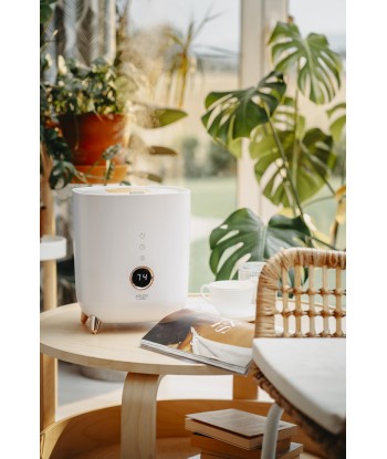 Adler Humidifier AD 7972 White
