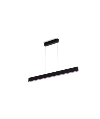 Philips Hue Ensis pendant black 2x39W 24V
