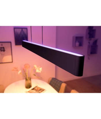 Philips Hue Ensis pendant black 2x39W 24V