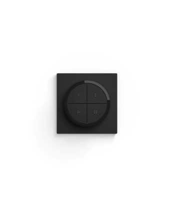 Philips Hue Tap dial switch black