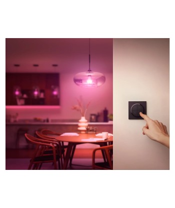 Philips Hue Tap dial switch black