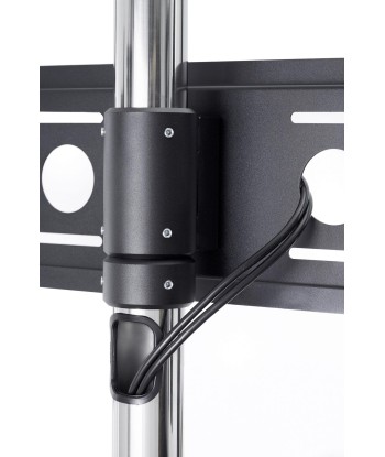 EDBAK, STD01c-B, Trolleys & Stands, 40-75", Maximum weight (capacity) 80 kg, Black
