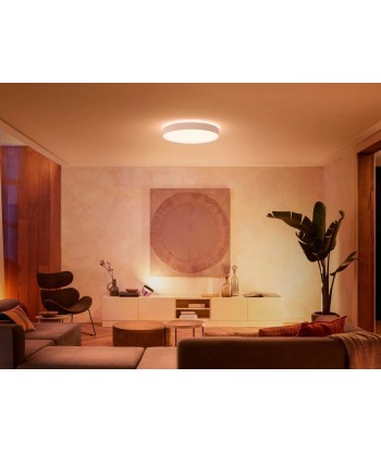 Philips Hue Enrave XL ceiling lamp white