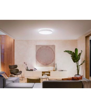 Philips Hue Enrave XL ceiling lamp white