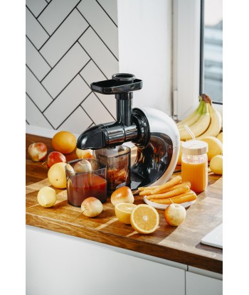 Adler AD 4130 Slow Juicer - Stainless Steel & Black: Fresh Juice, Effortless Cleaning!