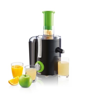 Princess Mahlapress 202040 - Must/Roheline, 250W