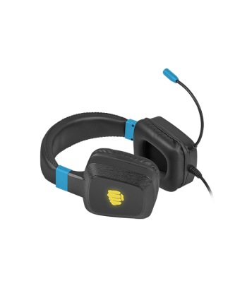 Fury Raptor Gaming Headset - Immersive Audio & Built-in Mic (Black/Blue)