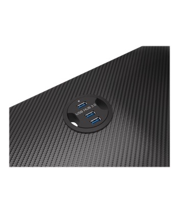 Genesis Gaming Desk, Holm 300 RGB
