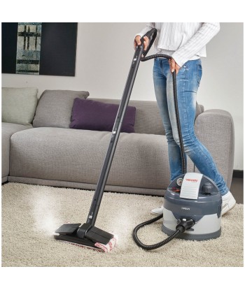 Пароочиститель Polti PTEU0260 Vaporetto Eco Pro 3.0 Power 2000 W, Steam pressure 4.5 bar, Water tank capacity 2 L, Grey