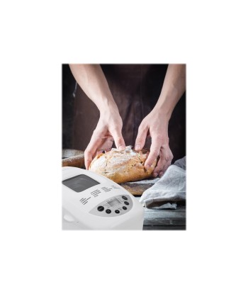 Adler Bread maker AD 6019 Power 850 W, Number of programs 15, Display LCD, White