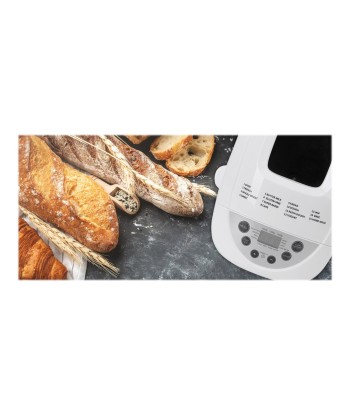 Adler Bread maker AD 6019 Power 850 W, Number of programs 15, Display LCD, White