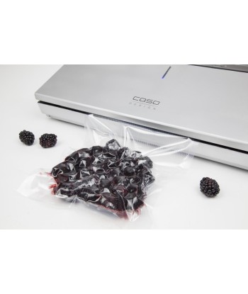 Caso Bar Vacuum sealer GourmetVAC 480 Power 160 W, Silver
