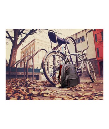 Рюкзак для ноутбука Port Designs Houston Fits up to size 17.3 ", Black, Shoulder strap, 