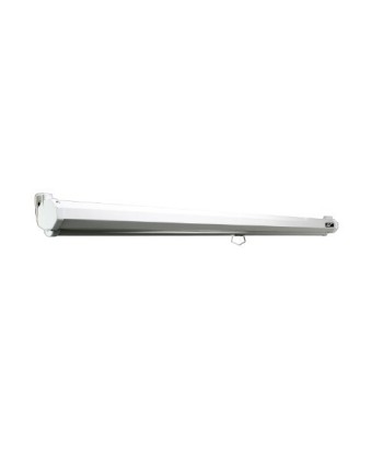 Elite Screens Manual Series M113NWS1 Diagonal 113", 1:1, Viewable screen width (W) 203 cm, White