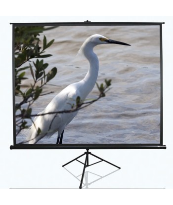 Elite Screens Tripod Series T120NWV1 Diagonal 120", 4:3, Viewable screen width (W) 244 cm, White
