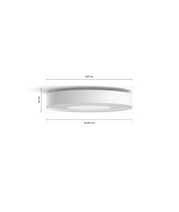 Philips Hue Infuse L ceiling lamp white