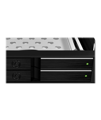 Icy Box IB-2227StS Storage Drive Cage for 2.5" HDD, Black