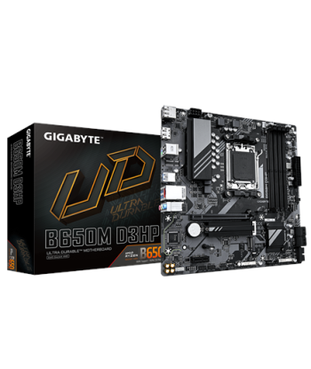 Gigabyte B650M D3HP 1.0 M/B