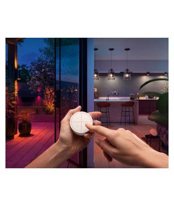 Philips Hue Tap dial switch white