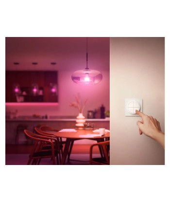 Philips Hue Tap dial switch white