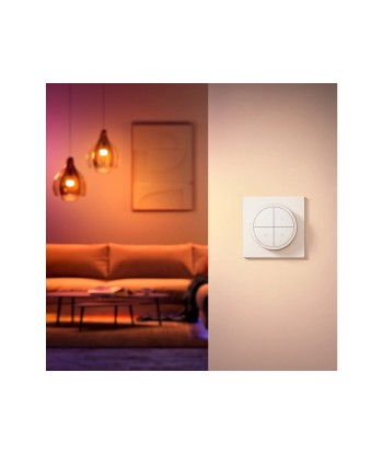 Philips Hue Tap dial switch white
